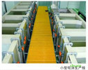 Decorative small electrophoresis production line